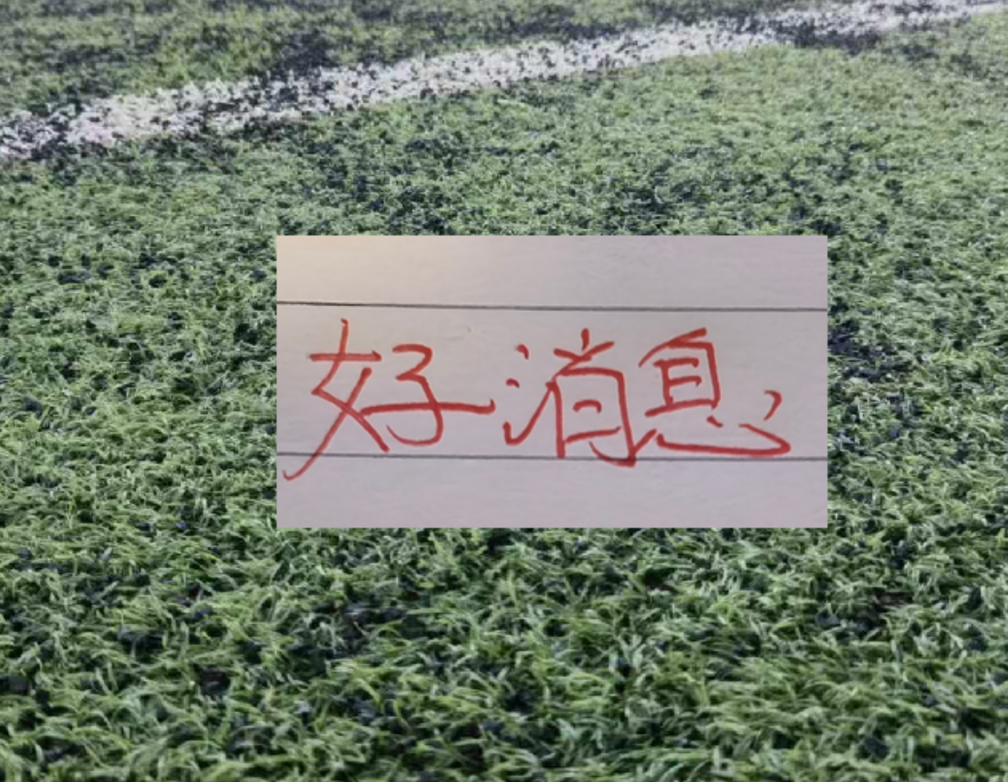 悟空体育罗马诺：纽卡接近签下阿贾克斯18岁中场斯图尔，总价超2500万欧