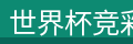 世界杯竞彩